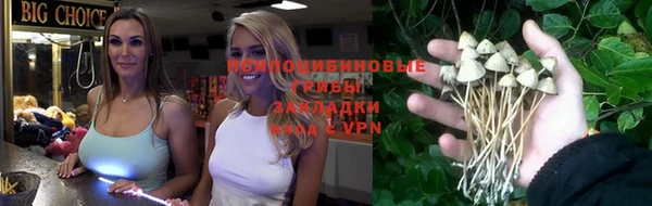 прущий лед Нягань