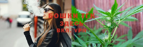 первитин Новозыбков