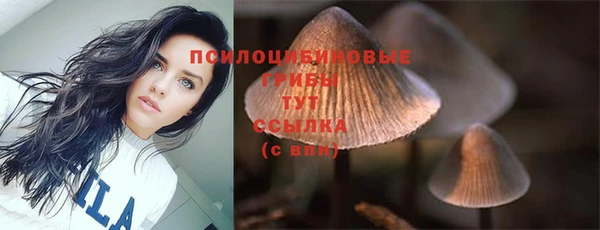 прущий лед Нягань