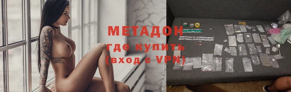 прущие грибы Нязепетровск