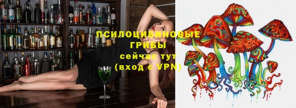 каннабис Новодвинск