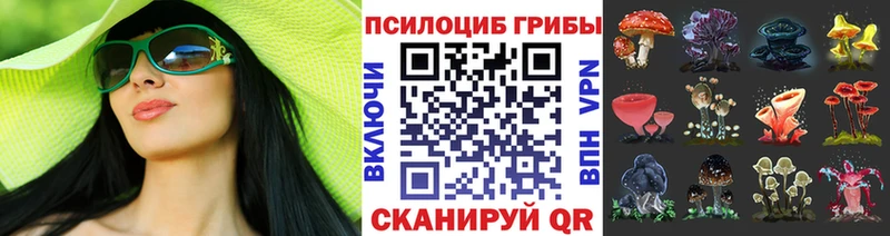Галлюциногенные грибы прущие грибы  Мыски 