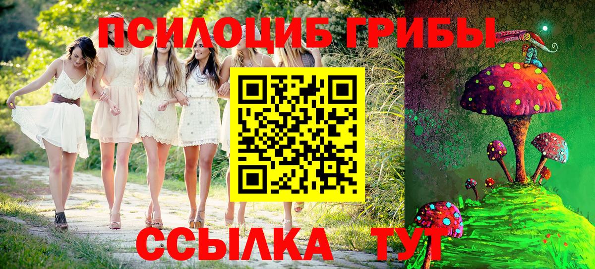Псилоцибиновые грибы Psilocybine cubensis Мыски