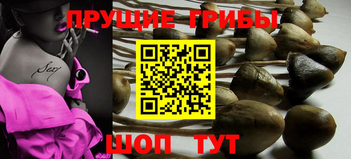 Псилоцибиновые грибы мухоморы  Вход с VPN  Мыски  Галлюциногенные грибы MAGIC MUSHROOMS 